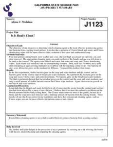 Oxidizing agents / Hygiene / Microbiology / Clorox / Cutting board / Bleach / Chlorine / Hypochlorite / Sodium hypochlorite / Chemistry / Disinfectants / Bathrooms