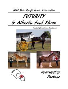 Wild Rose Draft Horse Association  FUTURITY & Alberta Foal Show Ponoka Ag Event Center, Ponoka, AB