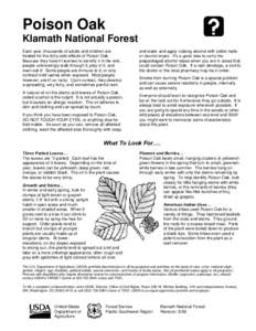 Poison Oak Klamath National Forest Each year, thousands of adults and children are treated for the itchy side effects of Poison Oak. Because they haven’t learned to identify it in the wild, people unknowingly walk thro