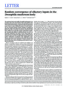 LETTER  doi:[removed]nature12063 Random convergence of olfactory inputs in the Drosophila mushroom body