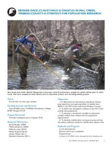 REDSIDE DACE (CLINOSTOMUS ELONGATUS) IN MILL CREEK, WABASH COUNTY: A STRATEGY FOR POPULATION RESEARCH Ben Cloud and Amber Melick, Manchester University research technicians, sample for adult redside dace in Asher Creek. 