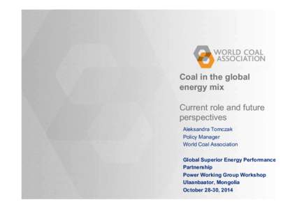 Coal in the global energy mix Current role and future perspectives Aleksandra Tomczak Policy Manager
