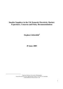 Smaller Suppliers in the UK Domestic Electricity Market: Experience, Concerns and Policy Recommendations