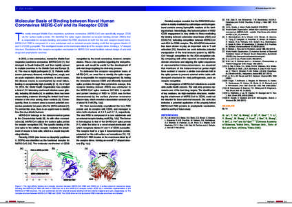 4 Life Science  PF Activity Report 2013 #31 Molecular Basis of Binding between Novel Human Coronavirus MERS-CoV and its Receptor CD26