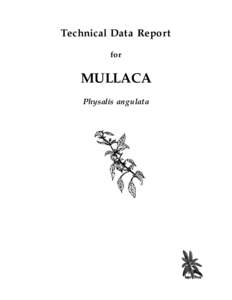 Technical Data Report for MULLACA Physalis angulata