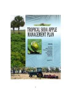 1  Tropical Soda Apple Management Plan January 2012 Edited by: Julio Medal, William Overholt, Raghavan Charudattan, Jeff Mullahey, Richard Gaskalla, Rodrigo Díaz, James Cuda