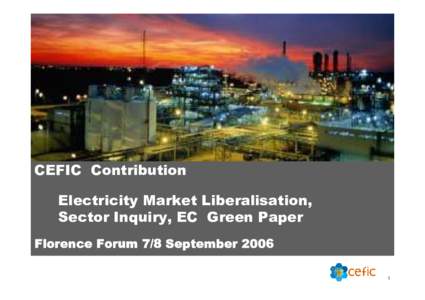 CEFIC - Forum Florence 2006.