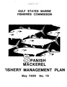 Spanish Mackerel Fishery Management Plan 1989
