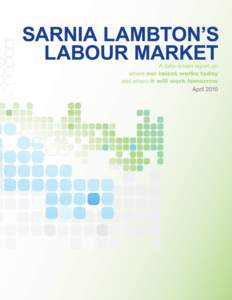 ACKNOWLEDGEMENTS A Steering Committee of Sarnia Lambton community leaders provided strategic advice in shaping the research direction of this report. It is from their vantage points in business, economic development, la