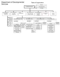 Microsoft Word - organizational_chart.doc