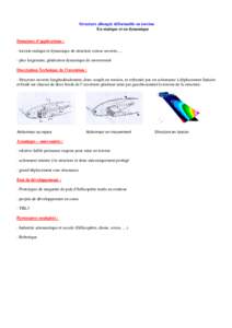 Structure allongée déformable en torsion En statique et en dynamique Domaines d’applications : - torsion statique et dynamique de structure creuse ouverte,… - plus largement, génération dynamique de mouvement Des