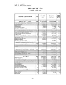 JUDE}UL PRAHOVA PRIM|RIA MUNICIPIULUI PLOIE{TI EXECUTIE DE CASA la data de 31 iulie 2010 lei