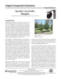 publication[removed]Specialty Crop Profile: Pawpaw Anthony Bratsch, Extension Specialist, Vegetables and Small Fruit