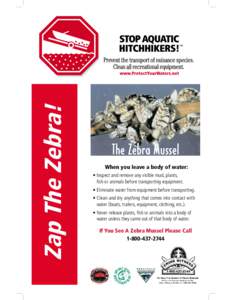 Zap The Zebra!  The Zebra Mussel When you leave a body of water: • Inspect and remove any visible mud, plants, fish or animals before transporting equipment.