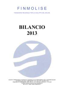 FINMOLISE FINANZIARIA REGIONALE PER LO SVILUPPO DEL MOLISE BILANCIO 2013