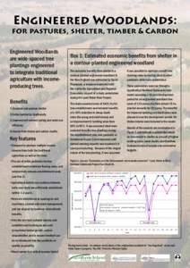 Engineered Woodlands:  for pastures, shelter, timber & Carbon Engineered Woodlands are wide-spaced tree plantings engineered