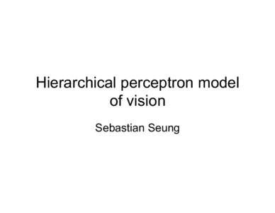 Hierarchical perceptron model of vision Sebastian Seung Neocognitron