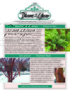 Polystichum / Acer griseum / Fern / Acer triflorum / Huntsville Botanical Garden / Flora of the United States / Flora of Ohio / Polystichum acrostichoides