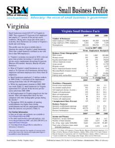 Virginia Small Business Profile, 2011