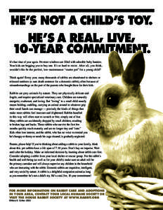 HE’S NOT A CHILD’S TOY. HE’S A REAL, LIVE, 10-YEAR COMMITMENT. It’s that time of year again. Pet store windows are filled with adorable baby bunnies. Your kids are begging you to buy one. It’s so hard to resist