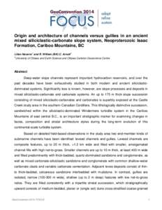 Origin and architecture of channels versus gullies in an ancient mixed siliciclastic-carbonate slope system, Neoproterozoic Isaac Formation, Cariboo Mountains, BC 1  1