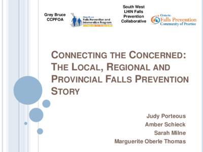 South West LHIN / Health / Falls in older adults / Falling / Fall prevention / Waterloo Wellington LHIN / Geriatrics / Medicine / Local Health Integration Network