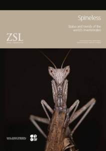 Spineless Status and trends of the world’s invertebrates Edited by Ben Collen, Monika Böhm, Rachael Kemp and Jonathan E. M. Baillie