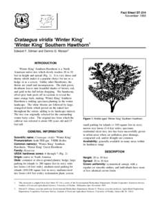 Fact Sheet ST-214 November 1993 Crataegus viridis ‘Winter King’ ‘Winter King’ Southern Hawthorn1 Edward F. Gilman and Dennis G. Watson2