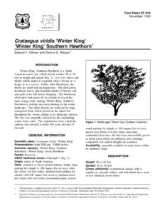 Biology / Crataegus / Manitoulin District /  Ontario / Pruning / Tree / Ziziphus mauritiana / Crataegus monogyna / Koelreuteria bipinnata / Botany / Medicinal plants / Agriculture