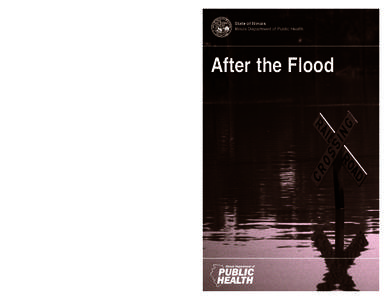 State of Illinois Illinois Department of Public Health After the Flood  For additional copies of this handbook, contact your