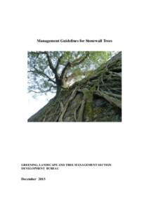 Microsoft Word - Guilelines for stone wall trees - DSW1 cleared.doc