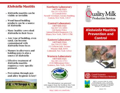 Klebsiella Mastitis  Northern Laboratory 