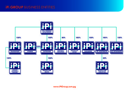 iPi GROUP BUSINESS ENTITIES  100% 100%
