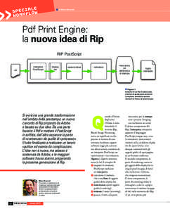 SPECKIFALLOEW W OR g di Mauro Boscarol  Pdf Print Engine: