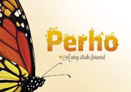 A wing stroke forward  A lively and youthful municipality Welcome  Perho is a lively countryside