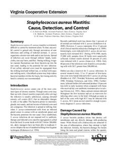 PUBLICATION[removed]Staphylococcus aureus Mastitis: Cause, Detection, and Control C. S. Petersson-Wolfe, Assistant Professor, Dairy Science, Virginia Tech I. K. Mullarky, Assistant Professor, Dairy Science, Virginia Tec