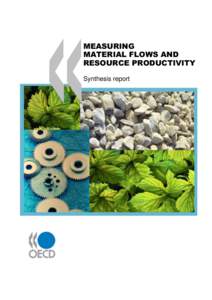 MEASURING MATERIAL FLOWS AND RESOURCE PRODUCTIVITY Synthesis report  MEASURING MATERIAL FLOWS AND