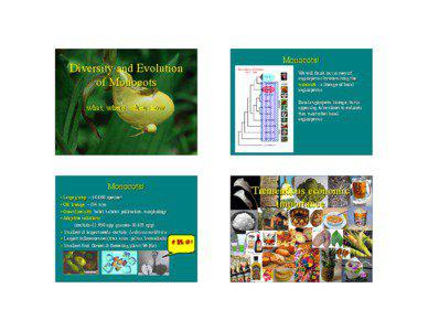 Monocotyledon / Acorus / Spadix / Alismatales / Araceae / Lilioid monocot / Symplocarpus foetidus / Symplocarpus / Basal angiosperms / Botany / Flora of the United States / Plant taxonomy