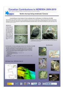 Canadian Contributions to NEREIDA[removed]NAFO PotEntial VulneRable Marine Ecosystems-Impacts of Deep-seA Fisheries Benthic Surveys Using Underwater Cameras  Comparing Research Vessel Catches of Corals and Sponges with