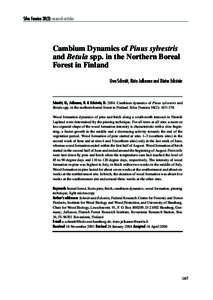 Silva Fennica[removed]research articles  Cambium Dynamics of Pinus sylvestris and Betula spp. in the Northern Boreal Forest in Finland Uwe Schmitt, Risto Jalkanen and Dieter Eckstein