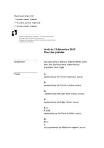 Bundesstrafgericht Tribunal pénal fédéral Tribunale penale federale Tribunal penal federal  Numéro s de dossi ers: RR[removed][removed][removed][removed]