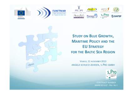 STUDY ON BLUE GROWTH, MARITIME POLICY AND THE EU STRATEGY FOR THE BALTIC SEA REGION VILNIUS, 11 NOVEMBER 2013 ANGELA SCHULTZ-ZEHDEN, S.PRO GMBH