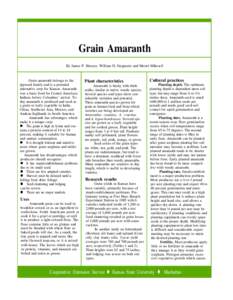 Grain Amaranth By James P. Shroyer, William D. Stegmeier and Merrel Mikesell Grain amaranth belongs to the pigweed family and is a potential alternative crop for Kansas. Amaranth