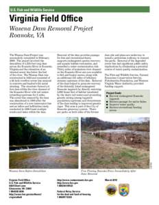 U.S. Fish and Wildlife Service  Virginia Field Office Wasena Dam Removal Project Roanoke, VA Removal of the dam provides passage