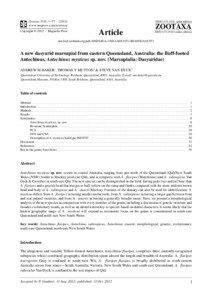 A new dasyurid marsupial from eastern Queensland, Australia: the Buff-footed Antechinus, Antechinus mysticus sp. nov. (Marsupialia: Dasyuridae)