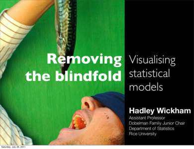 Removing the blindfold Visualising statistical models