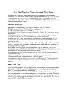 Gray Whale Migration - Witness the Annual Winter Journey Each winter, the Pacific gray whales pass by the western overlooks of Cabrillo National Monument. After spending the summer feeding in the food-rich waters of the 