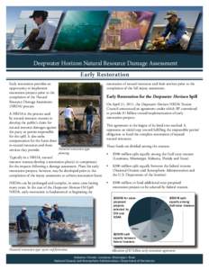 Deepwater Horizon Natural Resource Damage Assessment Early Restoration restoration of natural resources and their services prior to the completion of the full injury assessment.  Early restoration provides an