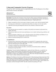 Special Initiative Brief Format [Title 16pt Times New Roman]