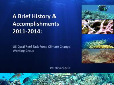 US Coral Reef Task Force Climate Change Working Group 19 February 2015  Climate Change Working Group